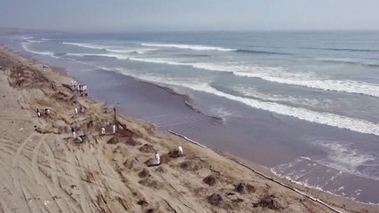Peru Bersihkan Tumpahan Minyak Akibat Dihantam Gelombang Tsunami Tonga
