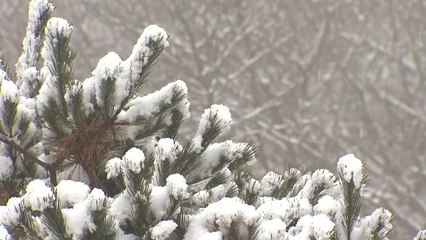 [날씨] 낮에도 강추위 기승...내일 오후부터 눈 / YTN