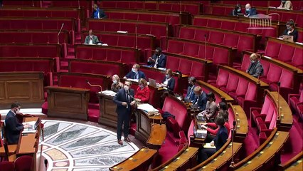 2ème séance : Adoption (nouvelle lecture) (suite) - Lundi 17 janvier 2022