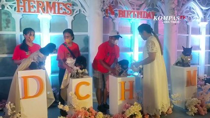 Crazy Rich Surabaya Rayakan Ultah Anjing Peliharaan Mewah