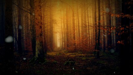 Easy On Me-Adele [[cover&lirik}}