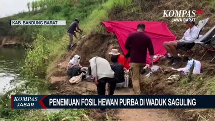 Fosil Hewan Purba Ditemukan Di Waduk Saguling