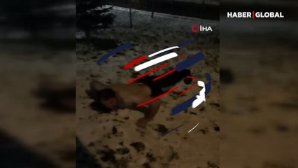 Görenler anlam veremedi! Manuş Baba’ya tepkisini böyle gösterdi!