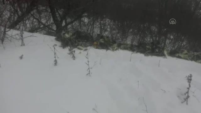 Yaban hayvanları için doğaya 1 ton 150 kilo yem bırakıldı