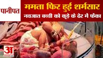 Newborn Baby Girl Thrown A Garbage Dump In Panipat|पानीपत में नवजात बच्ची को कूड़े के ढेर में फेंका