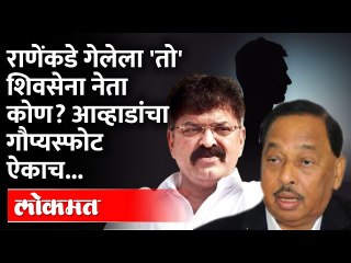 आव्हाडांचा गंभीर आरोप, राणेंकडे कोणता सेना नेता गेला होता सगळा इतिहास काढेन | Jitendra Awhad