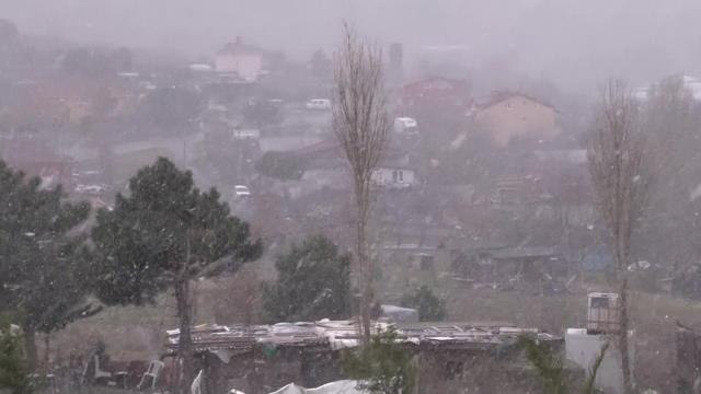 Aydos Ormanına lapa lapa kar yağdı