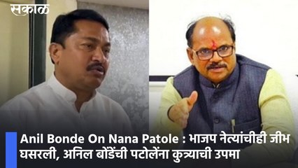 Anil Bonde On Nana Patole : भाजप नेत्यांचीही जीभ घसरली, अनिल बोंडेंची पटोलेंना कुत्र्याची उपमा