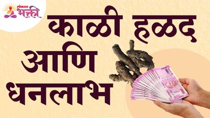 काळ्या हळदीचे महत्वपूर्ण फायदे आणि धनलाभ | Importance of Black Turmeric | Black Turmeric Information