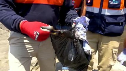 El oleaje del tsunami de Tonga provoca un derrame de crudo en Perú