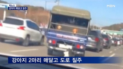 [픽뉴스] 뉴욕서 또 묻지마 폭행 / 최루액 뿌리고 총 겨눠 / 말 타고 불 속으로 / 강아지 매달고 질주 / 하늘 뒤덮은 까마귀떼