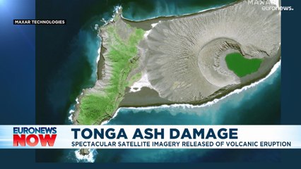 Volcanic ash delays aid to Tonga as scale of damage emerges