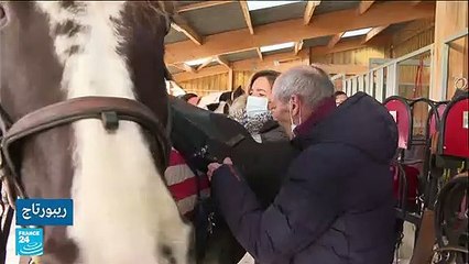 فرنسا: مركز لمعالجة الأشخاص من ذوي الاحتياجات الخاصة يعتمد على ركوب الخيل