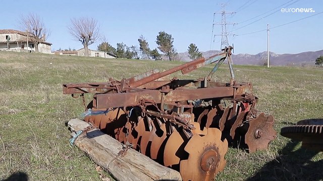 Албанские фермеры пашут на ослах