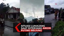 Angin Puting Beliung Rusak Belasan Rumah di Lumajang, Jawa Timur