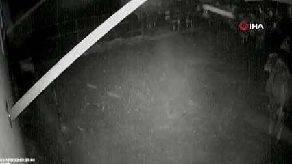 Ahırdaki hayvanlar, depremi önceden hissetmiş!