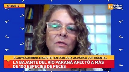 La bajante del Río Paraná afectó a más de 100 especies de peces