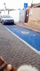 רחוב חורב אילת