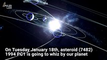 A Massive Asteroid Is About to Perform Up-Close Flyby of Earth
