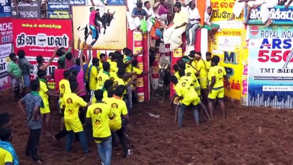 ویدئو؛ جشنواره کشتی با گاو نر «مست» در بحبوحه همه‌گیری کرونا در هند