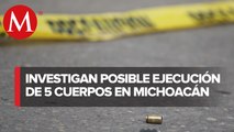Hallan cinco cuerpos en Tangamandapio, Michoacán; dos son mujeres