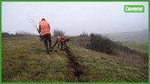 Plantation de haies aux Dolomies de Marche-les-Dames