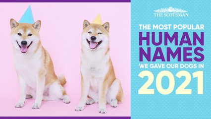 Top 10 Human names we gave our dogs in 2021