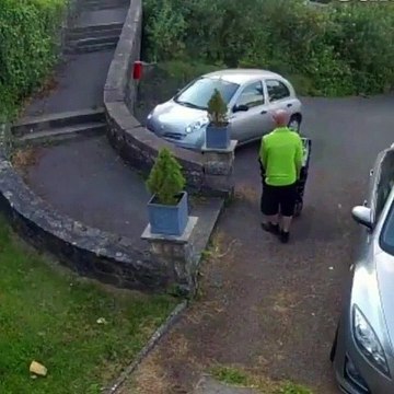 Regardez qui est venu voler les colis devant la maison