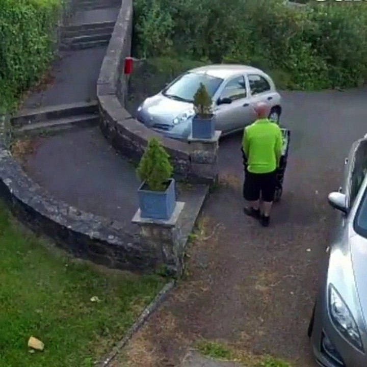 Regardez qui est venu voler les colis devant la maison