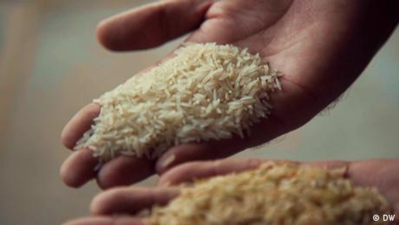 Schutzrechte für Lebensmittel