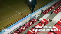 Un ladrón que pretendía robar el cableado del gimnasio de Hermosa Provincia cayo desde 15 metros