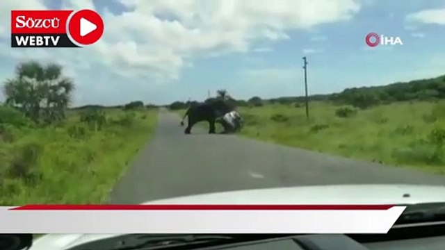Güney Afrika’da kızgın fil 4 kişilik ailenin bulunduğu araca saldırdı