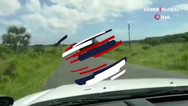 Görüntüler dehşete düşürdü! Kızgın fil, 4 kişilik ailenin aracını parçaladı