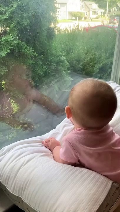 Baby Headbutts Window
