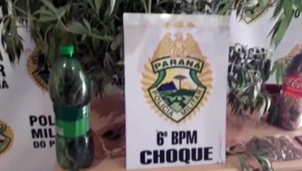 Após denúncia, PM realiza apreensão de maconha no Santa Cruz