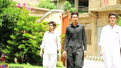 Election Moments.  Buner vines