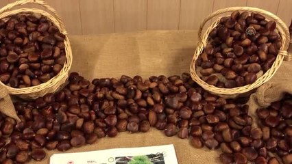 Kestane Farkındalık Günü etkinliği yapıldı