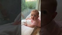 Baby Headbutts Window