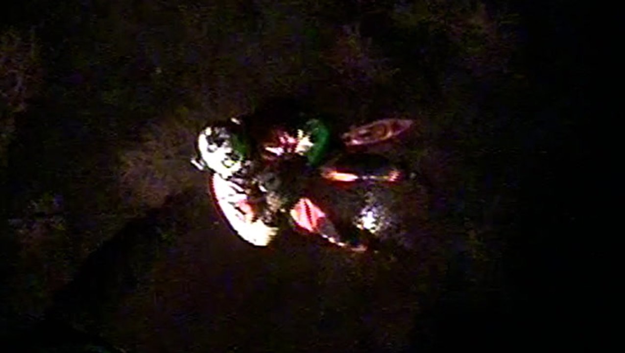 Coast Guard rescues kayaker off the coast of Louisiana