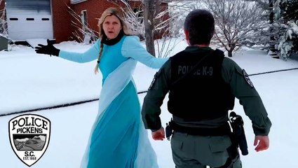 'Elsa' arrested for bringing snow to South Carolina