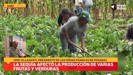 La sequía afectó la producción de varias frutas y verduras