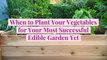 When to Plant Your Vegetables for Your Most Successful Edible Garden Yet