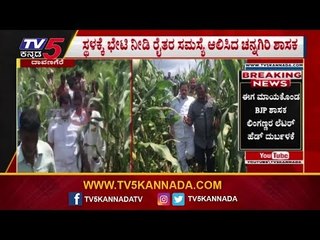 ದಾವಣಗೆರೆಯಲ್ಲಿ ಕಾಡಾನೆಗಳ ಹಾವಳಿಗೆ ತತ್ತರಿಸುತ್ತಿರುವ ಜನ | Davanagere | TV5 Kannada