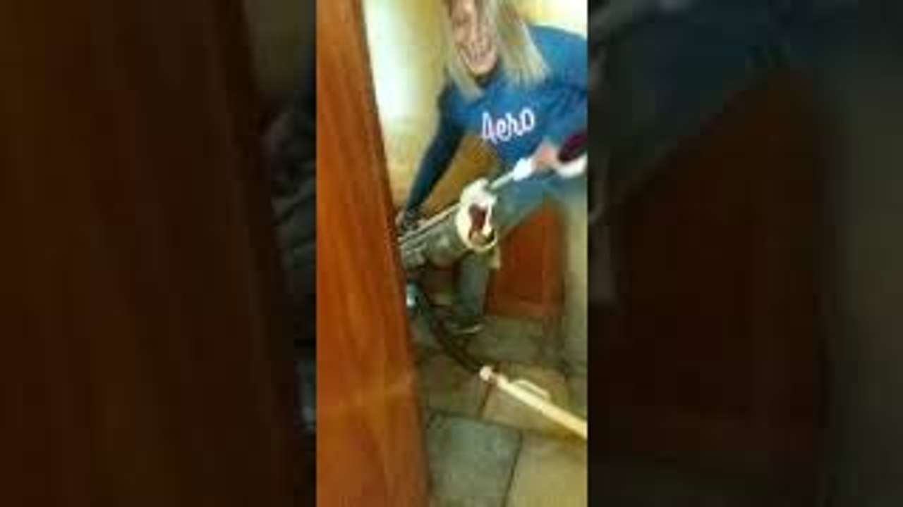 Dogs Fight Vacuum Cleaner