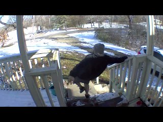 Husband Runs in Place Attempting to Not Fall