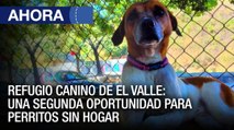 Refugio canino de El Valle: Una segunda oportunidad para perritos sin hogar #Caracas - #18Ene - Ahora