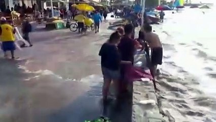 Tongan tsunami death toll rises as islands suffer extensive damage