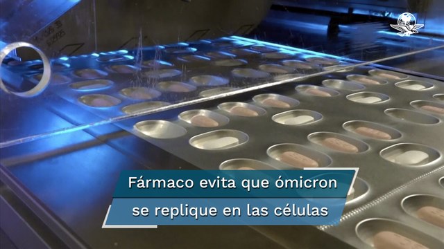 Píldora de Pfizer contra Covid-19 combate eficazmente a ómicron, asegura la farmacéutica