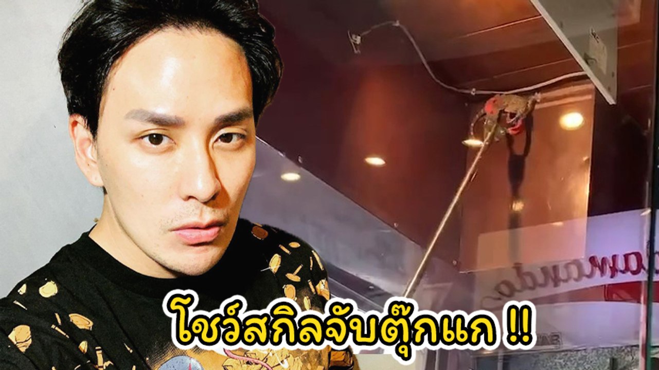 แทค ภรัณยู โชว์สกิลจับตุ๊กแกตัวใหญ่เบิ้ม อ้าปากขู่ไม่กลัวคน แน่จริงก็จับให้ได้