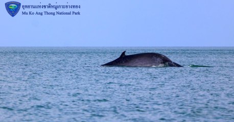 9 ข่าวเช้า (ช่วงที่ 4) วันพุธที่ 19 มกราคม 2565